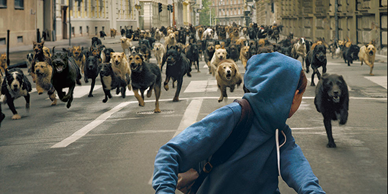 PACK: A person in a blue hoodie on a bicycle looks behind them to see hundreds of dogs chasing them through a wide, empty city street