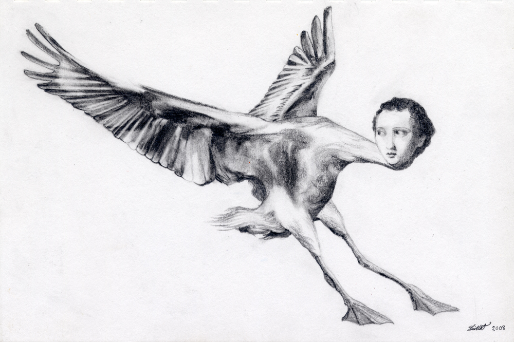 Nin: Pencil drawing of a bird woman with a long neck, her wings flapping as though she has just landed