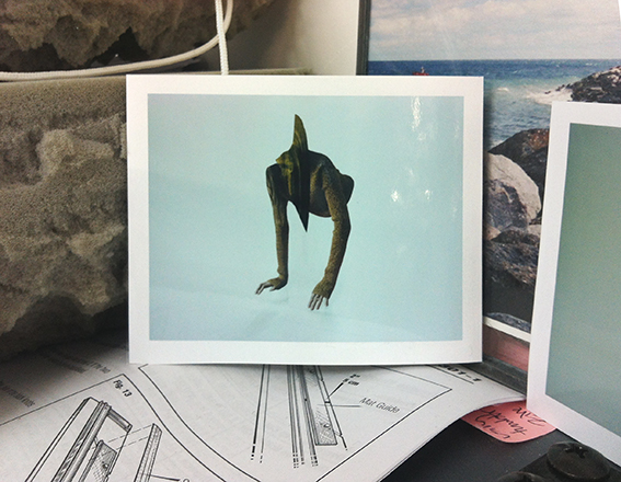 The Quarries: Drag, Fold and Mantle: photograph of a polaroid photograph of a strange-lokoing creature with a dinosaur head and female arms as legs stood against an image of rocks and sea, on top of an instruction manual with black line drawings.